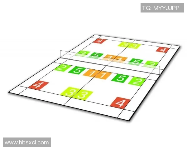 西安羽毛球队进攻体系解析与战术运用探讨